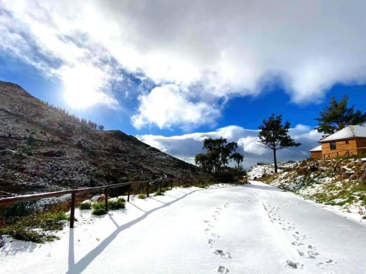 فندق Mountain Eco Shelter 1 فونشال المظهر الخارجي الصورة